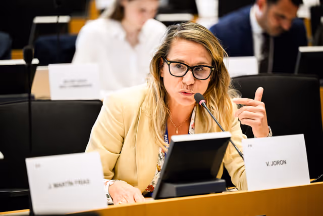 IMCO - Amazon faces EU scrutiny for systemic sale of unsafe and illegal products