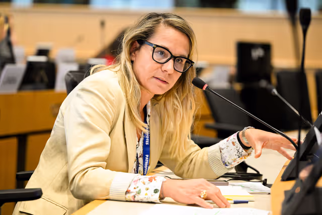 IMCO - Amazon faces EU scrutiny for systemic sale of unsafe and illegal products