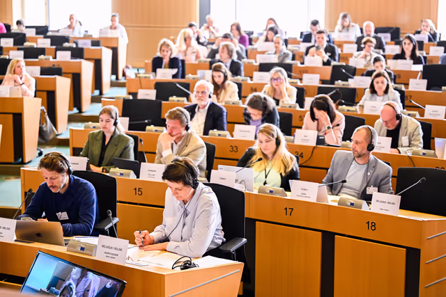 Alfabetizzazione digitale e media: il Parlamento chiede una strategia comune europea