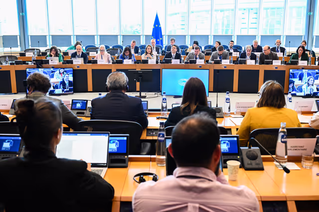 EP delegation to the Conciliation Committee meeting on Air passenger rights