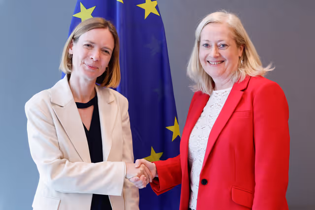 IMCO - Anna CAVAZZINI meets with Cáit Moran, IrishPresidency Deputy Permanent Representative