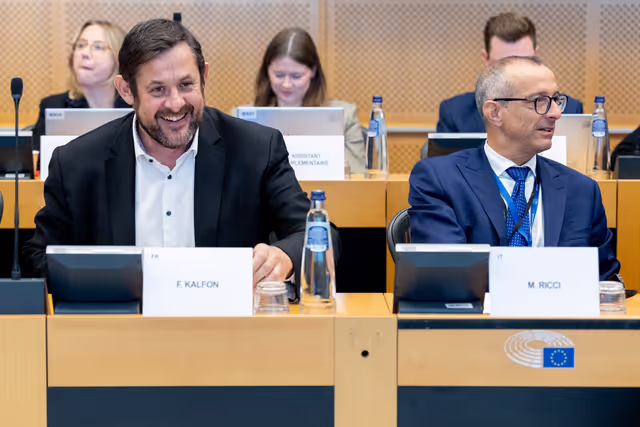 EP Delegation to the Conciliation Committee meeting on Air passenger rights