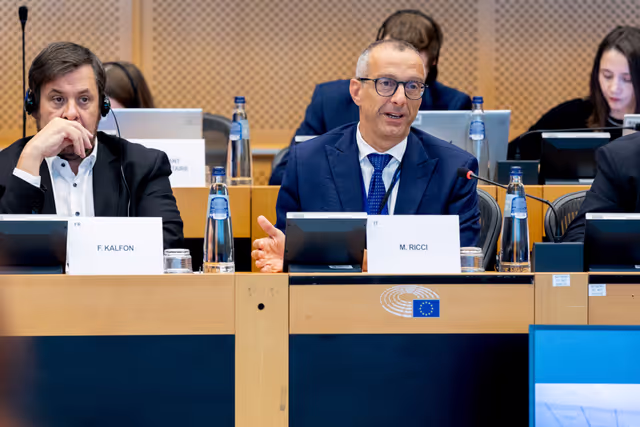EP Delegation to the Conciliation Committee meeting on Air passenger rights