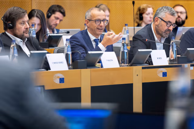 EP Delegation to the Conciliation Committee meeting on Air passenger rights