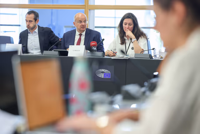 Press seminar for French journalists - Meeting with Christophe Grudler and Pierre Jouvet