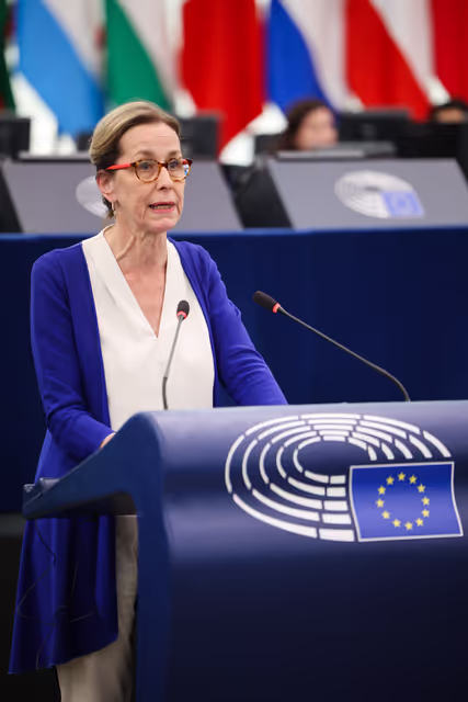 EP Plenary session - Common system for the return of third-country nationals staying illegally in the Union (Return Regulation)