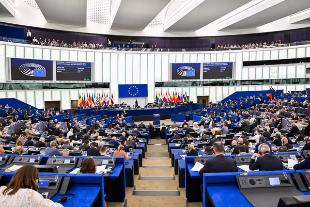 EP Plenary Session - Voting session