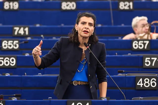 EP Plenary Session - Protecting EU citizens’ data from hybrid threats: the Lithuanian case