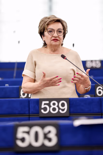 EP Plenary Session - Electrification Action Plan