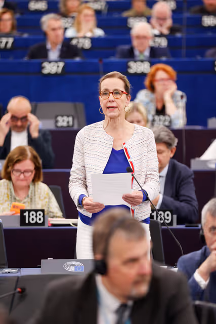 EP Plenary Session - Voting session