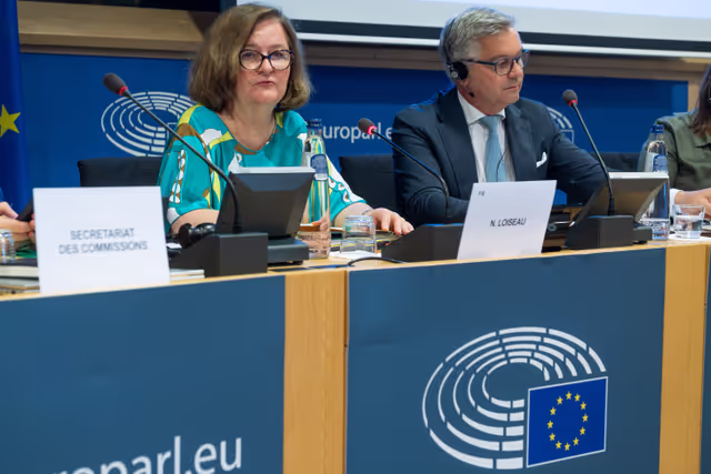 EUDS.- Exchange of views with Commissioner Magnus Brunner on aspects related to the Democracy Shield in the European internal security strategy