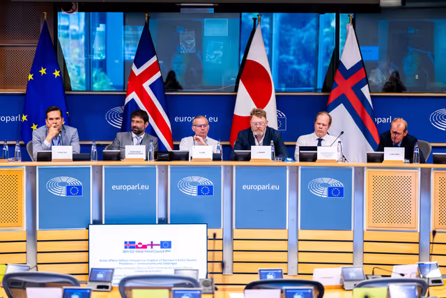 16th EU-West-Nordic Council IPM - Arctic affairs: halfway through the Kingdom of Denmark’s Arctic Council Presidency - achievements and challenges
