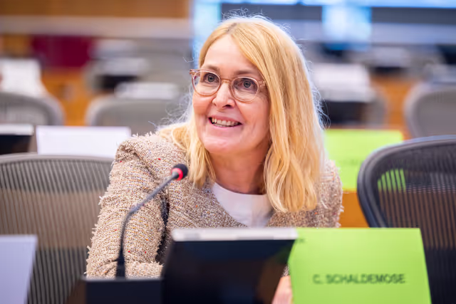 16th EU-West-Nordic Council IPM - Arctic affairs: halfway through the Kingdom of Denmark’s Arctic Council Presidency - achievements and challenges