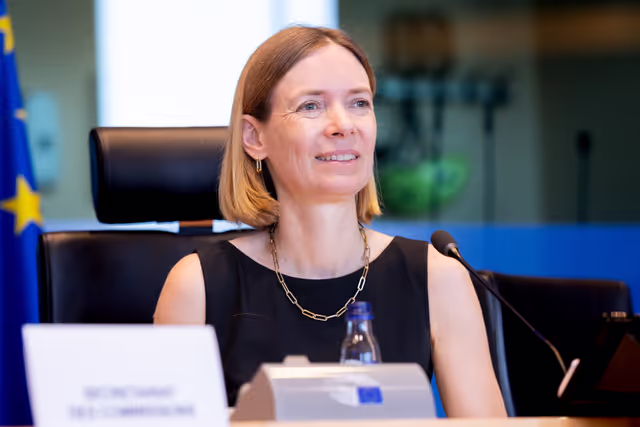 IMCO - Protection of minors online in the Single Market