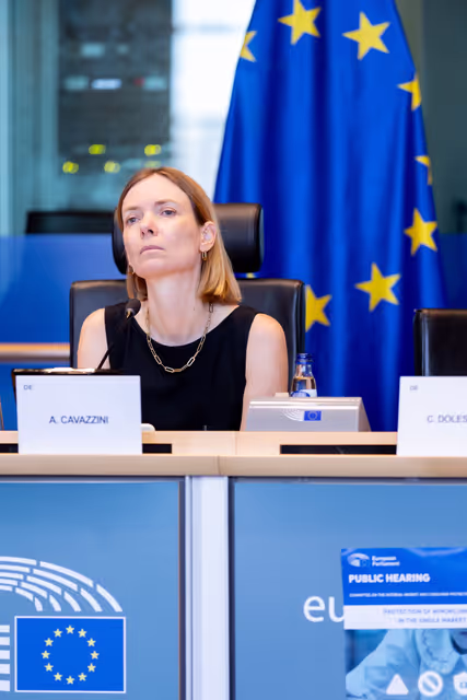 IMCO - Protection of minors online in the Single Market