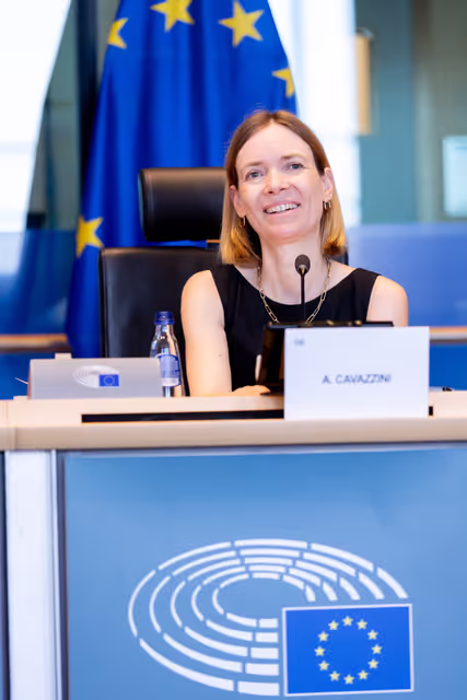 IMCO - Protection of minors online in the Single Market