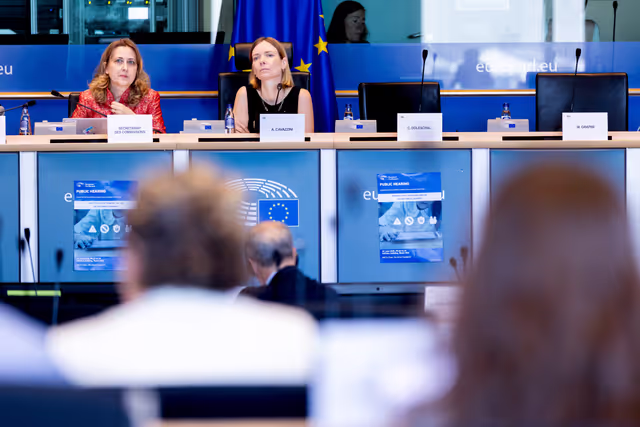 IMCO - Protection of minors online in the Single Market