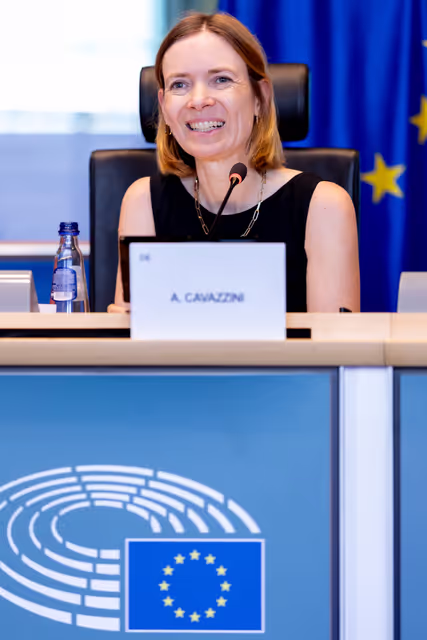IMCO - Protection of minors online in the Single Market