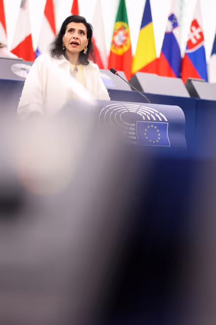 EP Plenary Session - July 2026 - Recent violent and fatal attacks in Italy and Denmark and their implications for public security in Europe