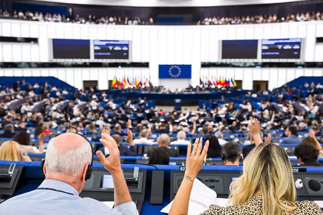 EP Plenary Session - July 2026 - Voting session