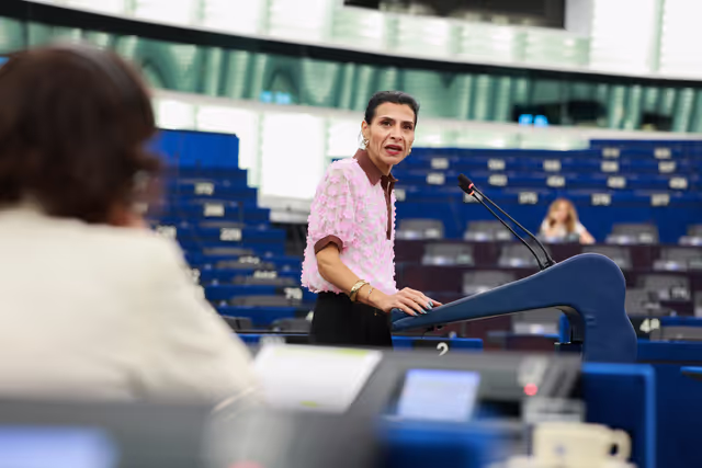 EP Plenary Session - July 2026 - Joint communication on humanitarian aid