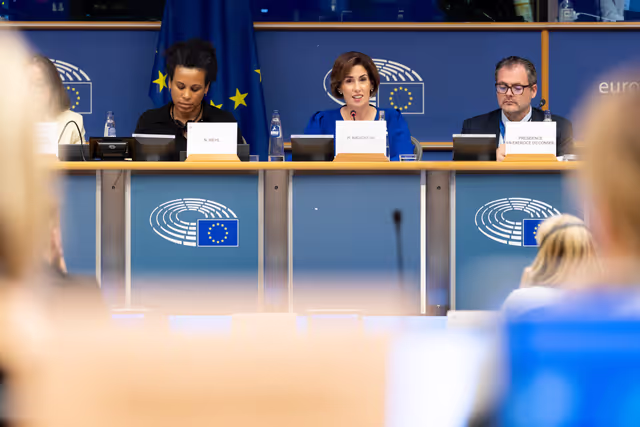 CULT - Presentation of the priorities of the Irish Presidency of the EU Council