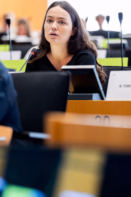 AFET - Presentation of the priorities of the Irish Presidency of the Council
