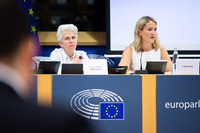 SEDE - Presentation of the priorities of the Irish Presidency of the Council