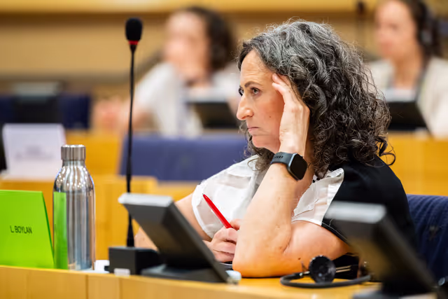 SEDE - Presentation of the priorities of the Irish Presidency of the Council