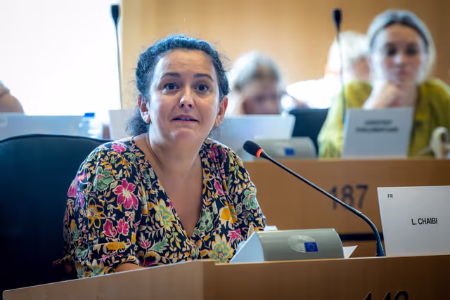 IMCO - Safety and cyber security risks potentially posed by advanced AI systems, and the application of the EU AI Act and European digital rules - Exchange of views with Anthropic