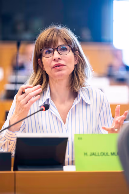 INTA- Presentation of the priorities of the Irish Presidency of the Council