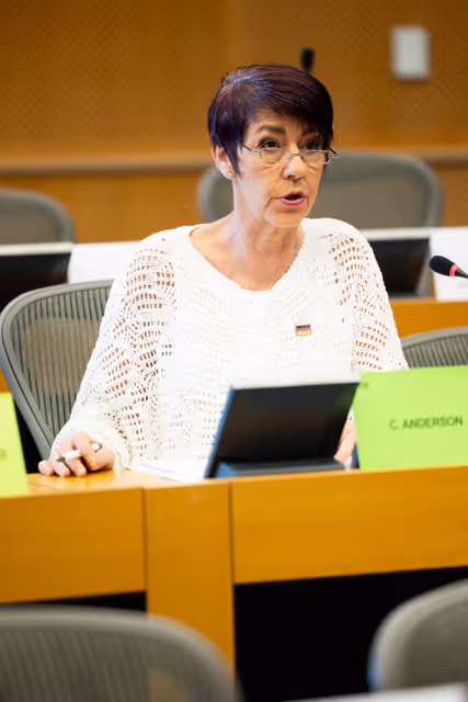 AFCO - Presentation of the priorities of the Irish Presidency of the Council