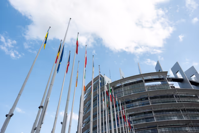 EU flags at half mast at the EP buildings in Brussels and Strasbourg following the death of Klaus HÄNSCH, former President of the European Parliament