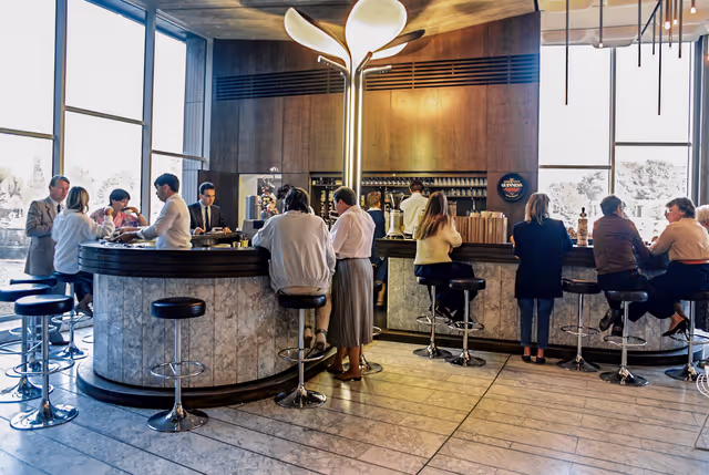 Billede 3: Bar des cygnes - Swan Bar at the EP in Strasbourg.